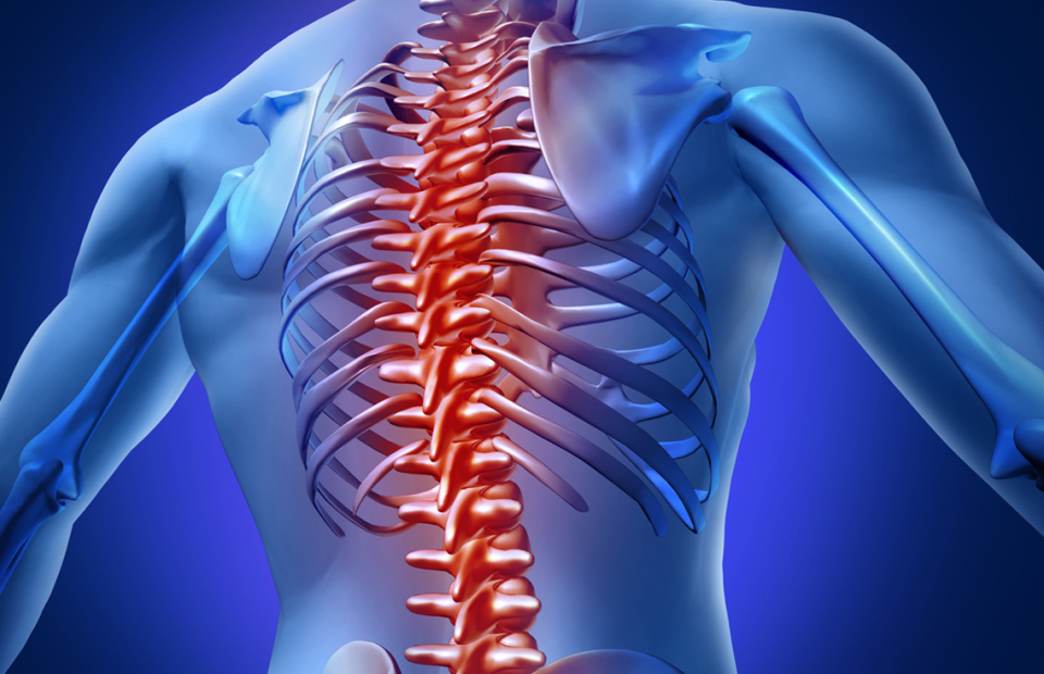 Minimally Invasive Spine Surgery